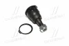 <strong>Опора шаровая (передняя/снизу) Nissan Primera 90-01/Sunny 86-90 (CBN-30) CTR CB0314 (фото 1)</strong>