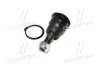 <strong>Опора шаровая (передняя/снизу) Nissan Primera 90-01/Sunny 86-90 (CBN-30) CTR CB0314 (фото 2)</strong>