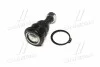 <strong>Опора шаровая (передняя/снизу) Nissan Primera 90-01/Sunny 86-90 (CBN-30) CTR CB0314 (фото 4)</strong>