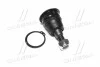 <strong>Опора кульова (передня/знизу) NISSAN Maxima/Cefiro 94-00 (CBN-54) CTR CB0320 (фото 1)</strong>