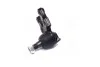 <strong>Опора кульова нижня Nissan Terrano I/Terrano II 87-06 Mistral 93-99 OLD CBN-67 (вир-во) CTR CB0328 (фото 1)</strong>