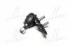 <strong>Опора кульова (передня/знизу) Toyota Camry 01-11/Lexus RX 03-08 Пр. (CBT-57R) CTR CB0402R (фото 2)</strong>