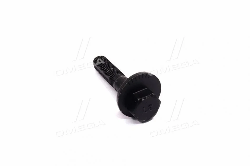 <strong>Болт з ексцентриком CTR GC0008 (фото 1)</strong>