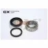 <strong>VOLVO Подшипник задней ступицы 740 86-88 CX CX053 (фото 1)</strong>