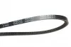 <strong>Ремінь клиновидний (довж. 60-180) DAYCO 10A0735C (фото 2)</strong>