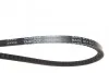 <strong>Ремінь клиновидний (довж. 60-180) DAYCO 10A0800C (фото 2)</strong>