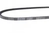<strong>Ремінь генератора Fiat Ducato 1.8/2.0 82-94 / Fiorino 1.7 D 88-00 (10X888) DAYCO 10A0888C (фото 2)</strong>