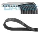 <strong>Ремень поликлиновой DAYCO 10PK1705HD (фото 1)</strong>