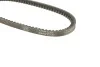 <strong>Ремінь генератора Audi A4/A6/VW Passat 1.6/1.8 94-01 (11x528) DAYCO 11A0528C (фото 5)</strong>