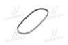 <strong>Ремень клиновидный (дл. 60-180) DAYCO 11A0768C (фото 2)</strong>
