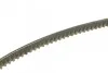 <strong>Ремінь клиновидний (довж. 60-180) DAYCO 13A0825C (фото 2)</strong>
