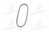 <strong>Ремінь клиновидний (довж. 60-180) DAYCO 17A1080C (фото 2)</strong>