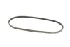 <strong>Ремень поликлиновой Dayco DAYCO 3PK800 (фото 2)</strong>