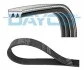 <strong>Ремень П-клиновой RENAULT Safrane 2,0/2,2i 92-96 DAYCO 3PK884 (фото 3)</strong>