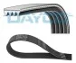 <strong>Ремінь поліклінової Dayco DAYCO 4PK1025HD (фото 1)</strong>