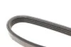<strong>Ремінь поліклиновий DAYCO 4PK1102EE (фото 4)</strong>