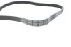 <strong>Ремінь генератора поліклиновий DAYCO 4PK1755 (фото 4)</strong>