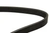 <strong>Ремінь генератора VW Crafter 2.5 TDI 06-13 DAYCO 4PK970EE (фото 2)</strong>