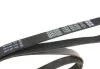 <strong>Ремінь генератора поліклиновий DAYCO 5PK1010HD (фото 2)</strong>