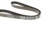 <strong>Ремінь генератора поліклиновий DAYCO 5PK1010HD (фото 3)</strong>