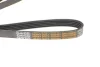 <strong>Ремень поликлиновой DAYCO 5PK1025HD (фото 3)</strong>