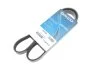 <strong>Ремень поликлиновой Dayco DAYCO 5PK1084 (фото 2)</strong>