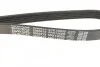 <strong>Ремінь поліклиновий DAYCO 5PK1200 (фото 3)</strong>