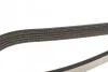 <strong>Ремінь поліклиновий DAYCO 5PK1200 (фото 4)</strong>