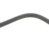 <strong>Ремінь генератора поліклиновий DAYCO 5PK1240S (фото 3)</strong>