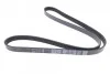 <strong>Ремінь генератора MB W168 M166 97-04 DAYCO 5PK1290 (фото 3)</strong>