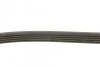 <strong>Пас поліклиновий Rover 800 2.5 90-99 DAYCO 5PK1500 (фото 2)</strong>
