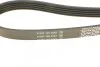 <strong>Пас поліклиновий Rover 800 2.5 90-99 DAYCO 5PK1500 (фото 3)</strong>