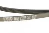 <strong>Пас поліклиновий Rover 800 2.5 90-99 DAYCO 5PK1500 (фото 4)</strong>