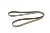 <strong>Пас поліклиновий Rover 800 2.5 90-99 DAYCO 5PK1500 (фото 5)</strong>