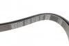 <strong>Ремінь генератора Suzuki SX4 2.0 10- DAYCO 5PK1550 (фото 3)</strong>