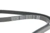<strong>Ремінь генератора поліклиновий DAYCO 5PK1810S (фото 4)</strong>