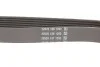 <strong>Ремінь поліклиновий DAYCO 6PK1004K (фото 2)</strong>