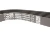 <strong>Ремінь поліклиновий DAYCO 6PK1004K (фото 3)</strong>