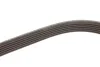 <strong>Ремінь поліклиновий DAYCO 6PK1004K (фото 4)</strong>