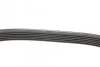 <strong>Ремінь поліклиновий DAYCO 6PK1013 (фото 2)</strong>