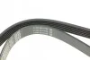 <strong>Ремінь поліклиновий DAYCO 6PK1013 (фото 3)</strong>