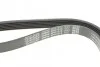 <strong>Ремінь поліклиновий DAYCO 6PK1013 (фото 4)</strong>