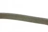 <strong>Ремінь поліклиновий DAYCO 6PK1024EE (фото 2)</strong>