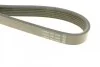 <strong>Ремінь поліклиновий DAYCO 6PK1024EE (фото 3)</strong>