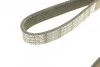 <strong>Ремінь поліклиновий DAYCO 6PK1024EE (фото 4)</strong>