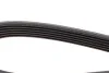 <strong>Ремінь поліклиновий DAYCO 6PK1025 (фото 3)</strong>
