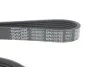 <strong>Ремінь поліклиновий DAYCO 6PK1027EE (фото 4)</strong>