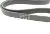 <strong>Ремінь генератора Ford Fiesta 1.25-1.6 08- DAYCO 6PK1033EE (фото 2)</strong>