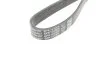 <strong>Ремінь генератора Ford Fiesta 1.25-1.6 08- DAYCO 6PK1033EE (фото 3)</strong>