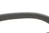 <strong>Ремінь генератора Ford Fiesta 1.25-1.6 08- DAYCO 6PK1033EE (фото 4)</strong>